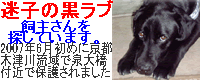 4c2d026c.gif
