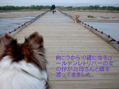 646147a7.jpg