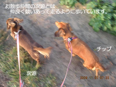 7d862d69.jpg