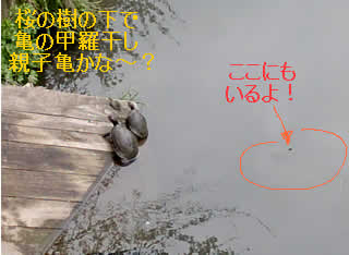 8d72ba39.jpg