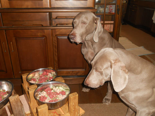 1107DSCN7121