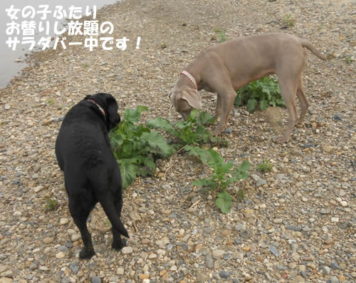 0404DSCN7001