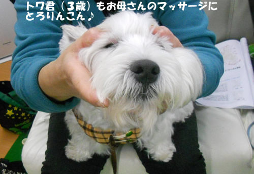 1215DSCN8938