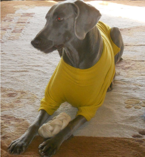 0120DSCN0478