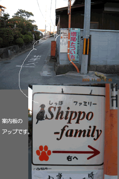 ff50f79b.gif