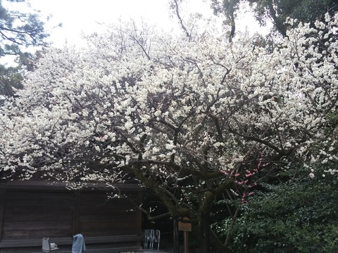 20180311_121308