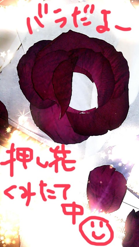 50d10a59.jpg