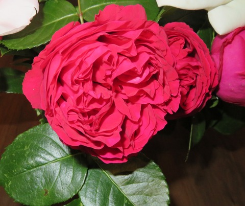 12 花-5