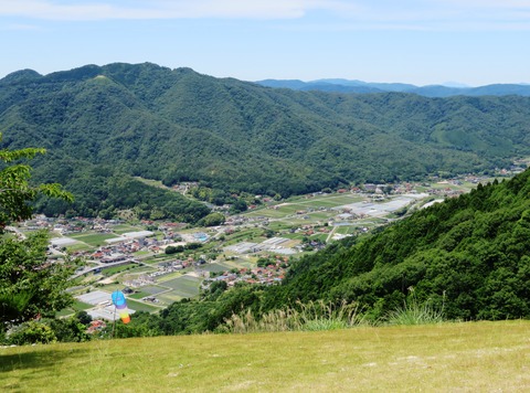 17 麦刈り-10