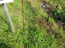 20181009 (13)