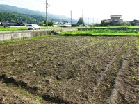 20170722 (4)