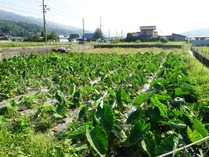 20180714 (7)