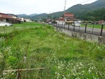20170702 (18)