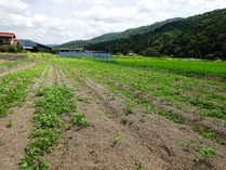 20180819 (23)
