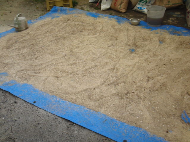 CIMG0739
