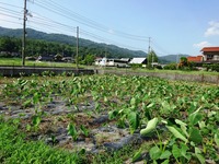 20170713 (4)