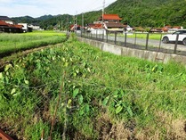 20180911 (5)