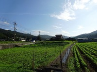 20170805¡¡ (2)