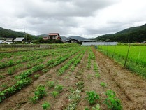 20180825 (23)