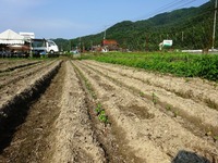 20170722 (13)