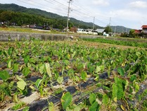 20181022 (12)