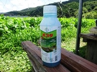 20170819 (18)