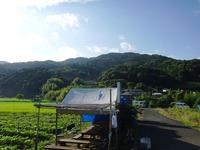 20170805¡¡ (1)