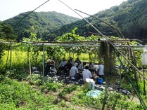 20180819 (20)