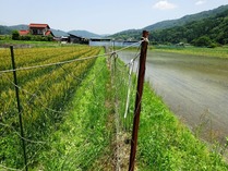20180602 (23)