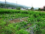 20170629 (7)