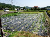 20180602 (18)