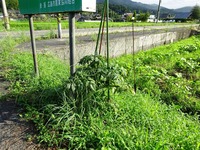 20170819 (2)