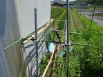 20170514 (32)