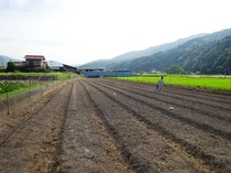 20180728 (16)