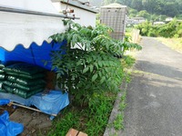 20170722 (1)