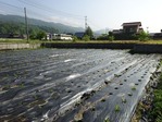 20170514 (12)