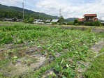 20170702 (36)
