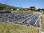 20170423 (28)