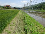 20170514 (33)