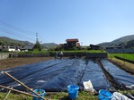 20170423 (18)