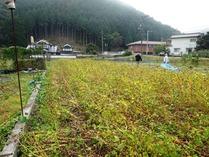 20181022 (5)