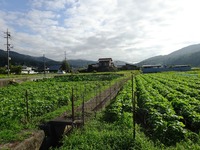 20170819 (6)