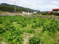 20181022 (13)