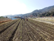 20180217 (10)