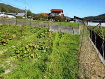 20181105 (8)