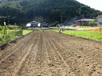 20180819 (19)