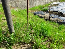 20180512 (9)