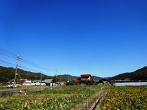 20181105 (1)