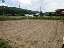 20180728 (25)