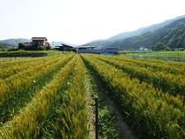 20180602 (12)